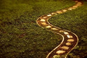 Buy-and-hold, the path to Gold?