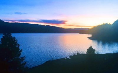 Balancing Risk Management With Timely Opportunism