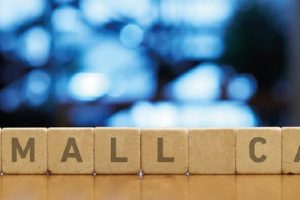 The Small Cap Police