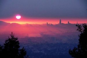 Bubble 3.0: Up From the Ashes