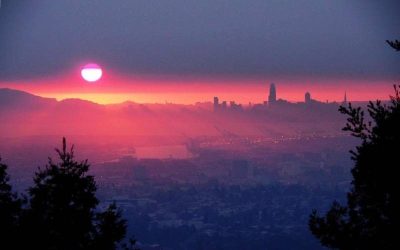 Bubble 3.0: Up From the Ashes