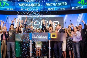 The Mysterious Case of the Elongated IPO