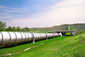 Love, Love Them Don’t