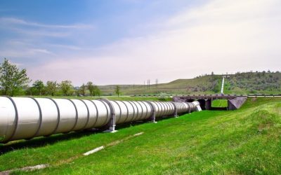 Love, Love Them Don’t