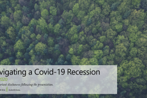 Navigating a Covid-19 Recession