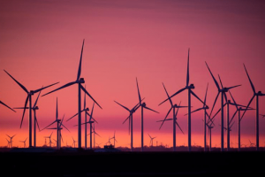 Green energy: A bubble in unrealistic expectations?