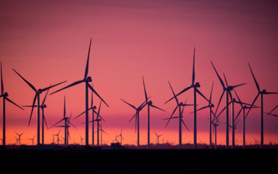 Green energy: A bubble in unrealistic expectations?