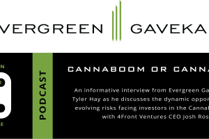 Cannaboom or Cannabust?