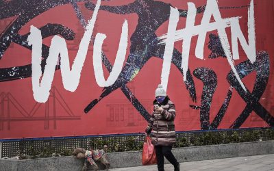 The Long and Short of the Wuhan Flu