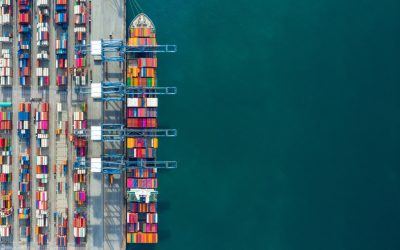 They Paved the Port and Put up a Parking Lot