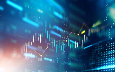 Quarterly Market Update – July 2024