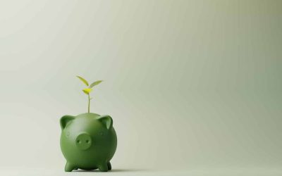 Takeaways from Warren Buffett’s Annual Letter