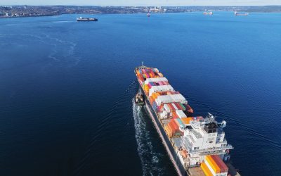 Investors Need to Have Their Trump Cards Ready….